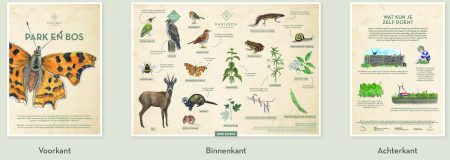 Park en bos scaled