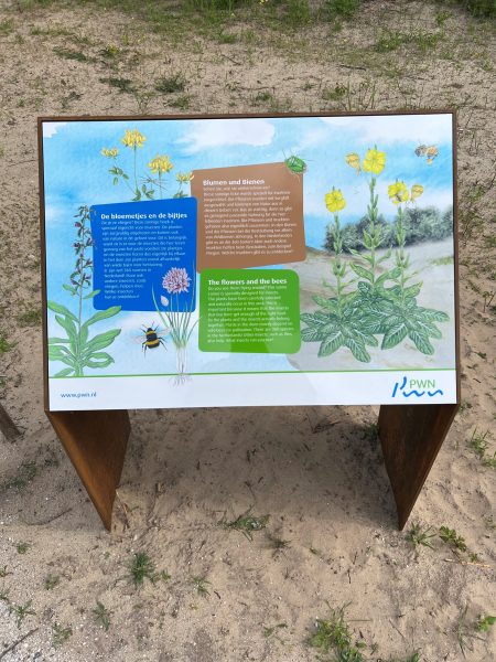 2. De bloemetjes en de bijtjes scaled