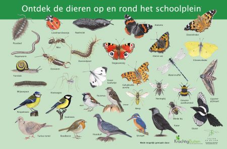 Paneel schoolplein scaled
