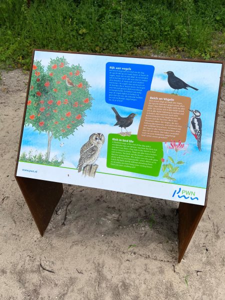 Rijk aan vogels scaled