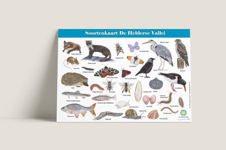Herkenningskaart Helderse Vallei