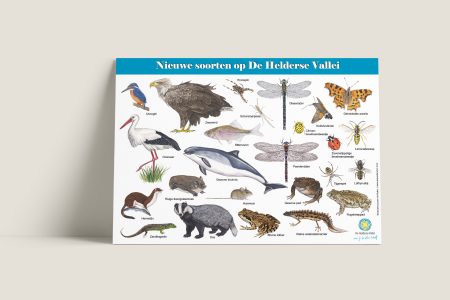 Herkenningskaart Helderse Vallei
