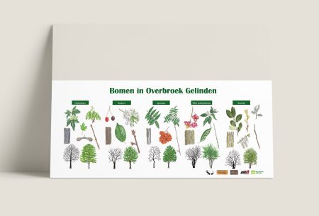 Informatiepaneel Bomen in Overbroek