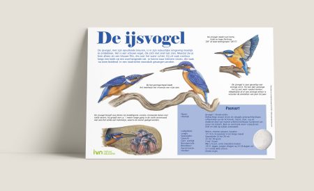 Informatiepaneel IJsvogel