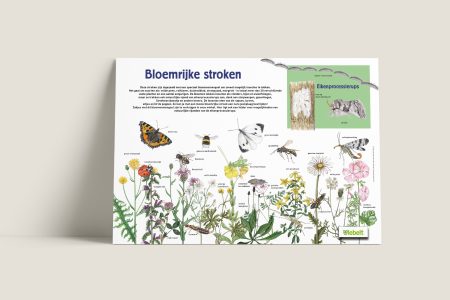Informatiepaneel Ulebelt Bloemrijke stroken