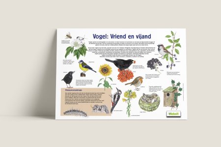 Informatiepaneel Ulebelt Vogel