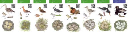 It Lege Midden-natuurwijzer-weidevogels-achterzijde
