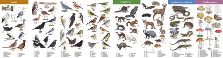 NP Drentse Aa-natuurwijzer-achterzijde
