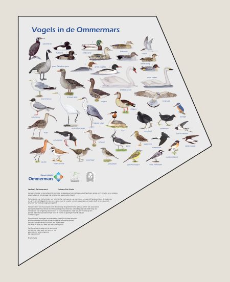 Informatiepaneel Vogels van de Ommermars