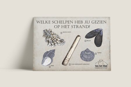 Placemats Op het Wad