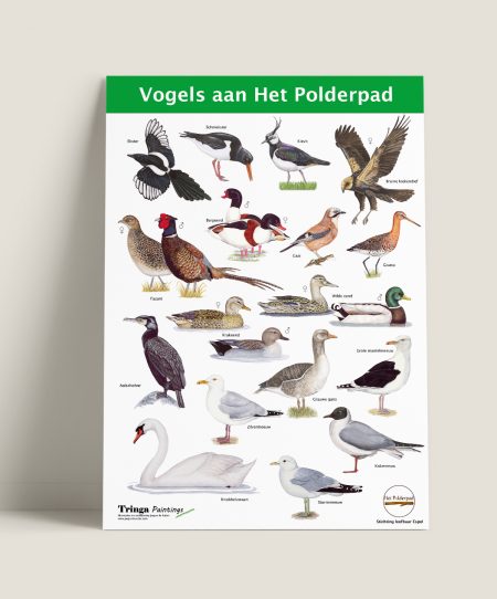 Poster Stichting Leefbaar Espel