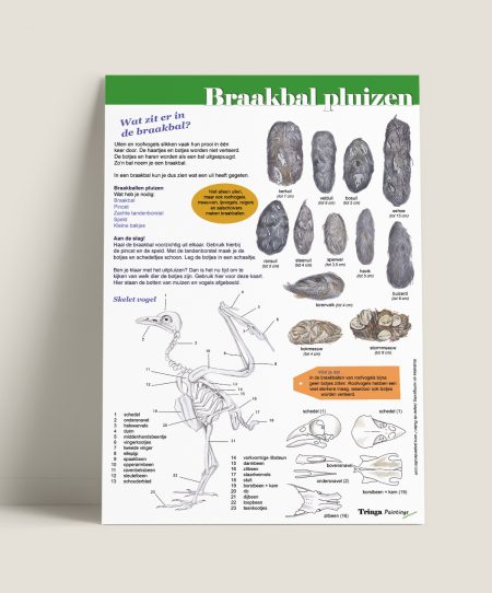 Poster-braakbalpluizen-Wings of change-1