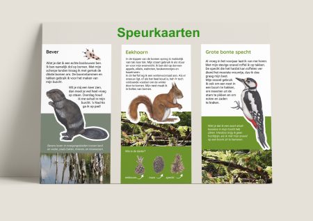 Speurkaarten Roompot-1