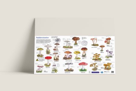 Zoekkaart Paddenstoelen NM-1