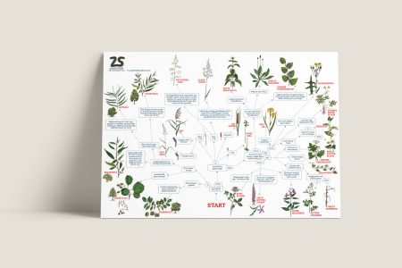 Zoekkaart Planten van de Zeeschelde