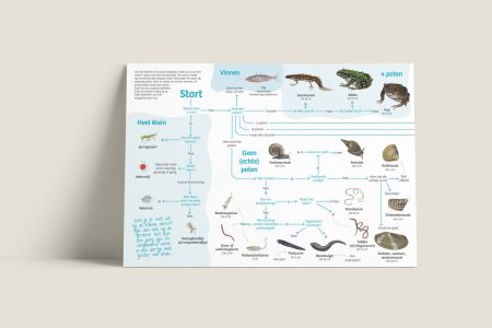Zoekkaart Waterdiertjes Waterschap de Dommel