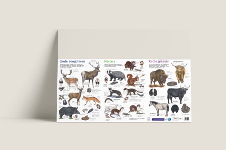 Zoekkaart Zoogdieren