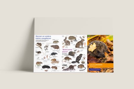 Zoekkaart Zoogdieren